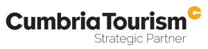 CT-Strategic-partner-transparent-bg